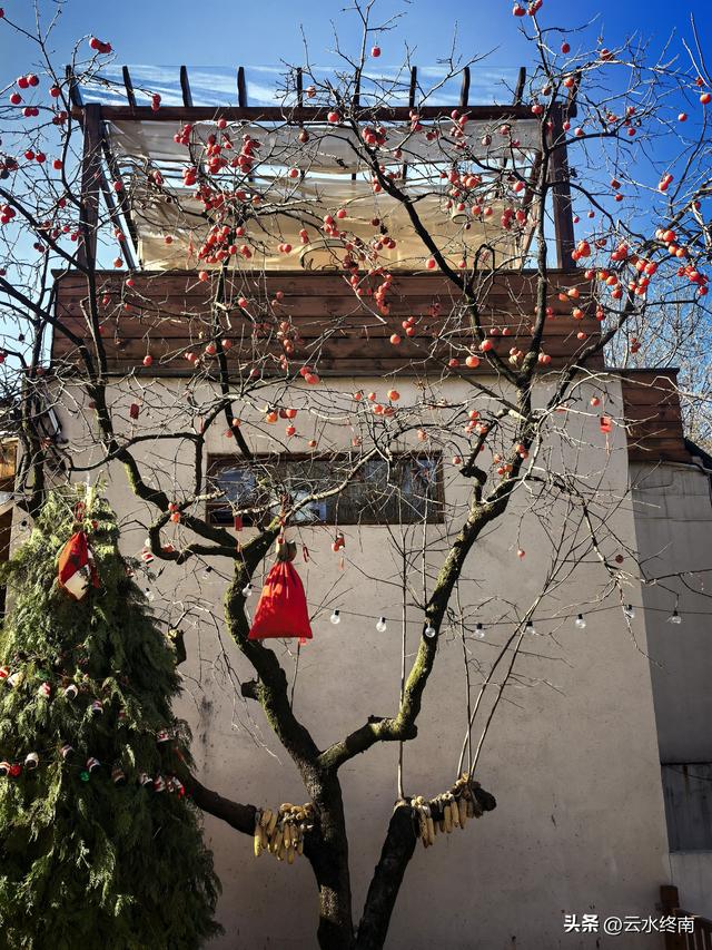 在蓝田不为人知的这个峪口，驱车深入，发现一个隐秘的“桃花源”