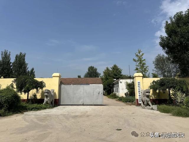 冠县乡韵·定远寨镇前杏园村