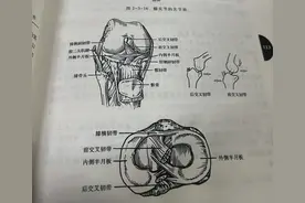 半月板损伤究竟该如何对待！！图片