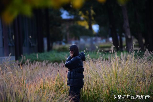 达活泉，这才是秋天该有的样子（图）