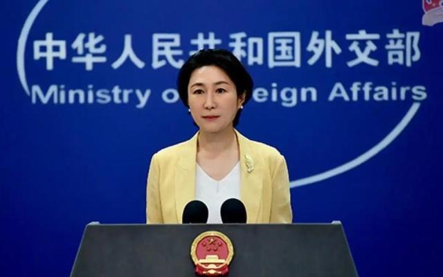 禁止所有中国外交官入境，不让两岸统一，这个国家比美国还要嚣张