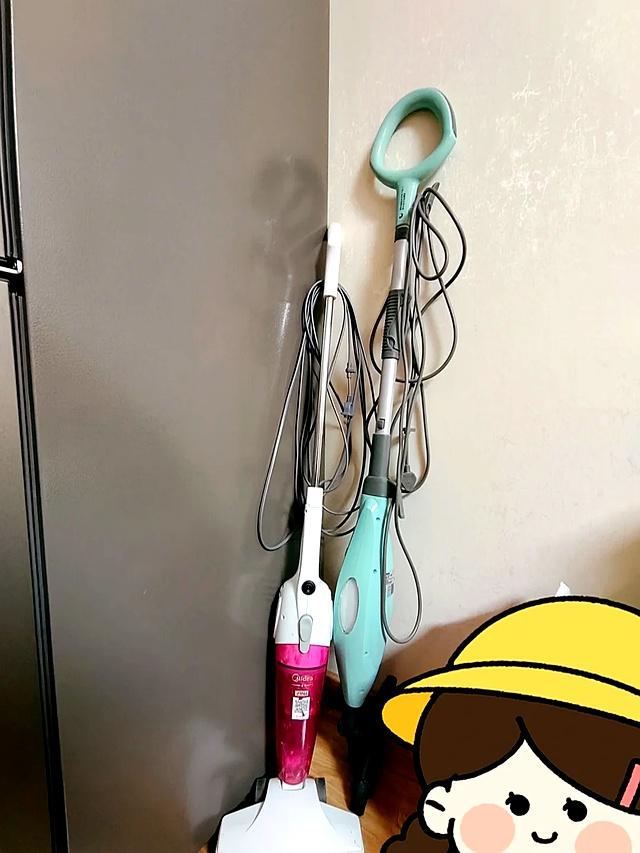 红得快，凉得更快的7种小家电，以前是“网红”，现“无人问津”