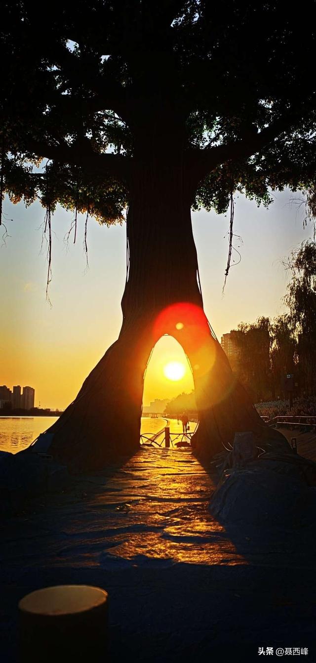 诗一首:日落咸阳湖