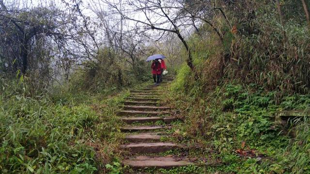 重庆南山被遗忘的千年古道，曾是重庆出川重要通道，如今成为秘境