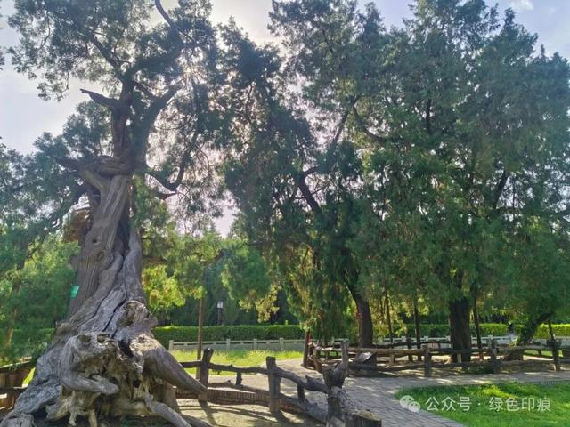 舜帝陵——《穿州过府看山西》