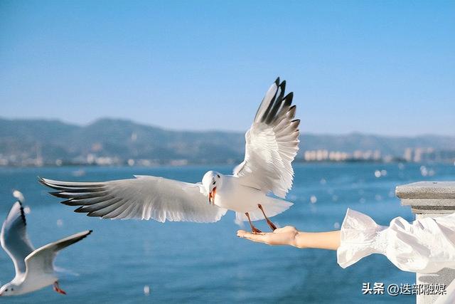 国内12月份最适合去的10个地方