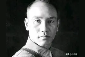 国民党派系简介图片