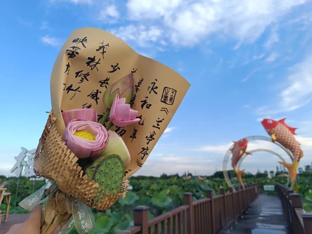 “太”好的地方,繁花开满“仓”!