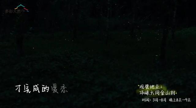 成都以西的隐秘小村，赏萤火虫、溪涧踩水、探秘溶洞…1.5h刹拢！