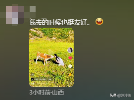 游客徒步遭牛群踩踏后续：景区回应，真相曝光后，网友直呼太活该