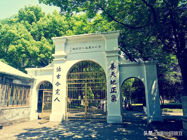 再游苏大-随便进的时候就去了一次，限流预约了却非要去看看。