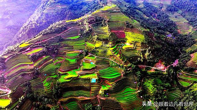 《西双版纳 澜沧行》左都佤山梯田云雾：天地间的水墨长卷