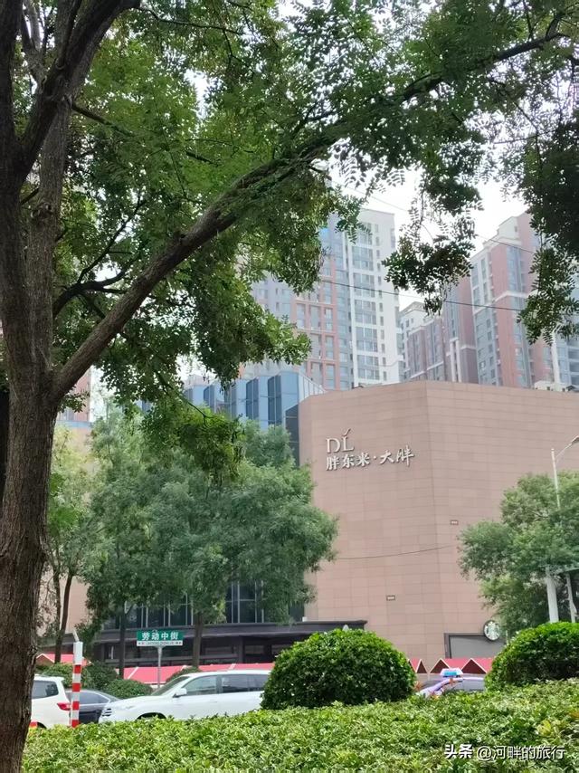 新乡市城里十字大槐树