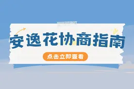 安逸花协商还款指南：专业应对逾期难题图片