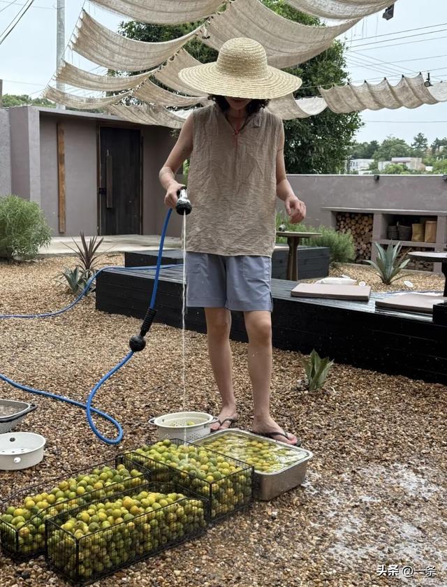 两个女性好友结伴搬到乡下：40岁，边奋斗边养老