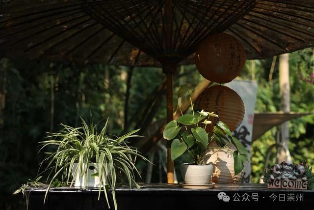 10月亮相！崇州新增一处度假地，邀你共赴诗和远方