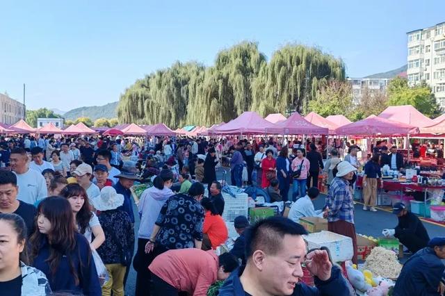 吉林文旅交出亮眼答卷！各市州人气藏不住！