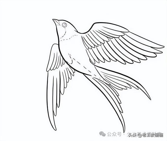 燕子的简笔画线稿图，给孩子收藏