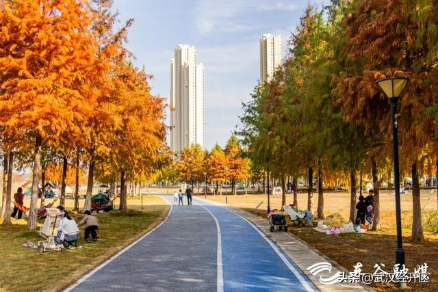 橙黄橘绿时 武汉经开区斑斓如画