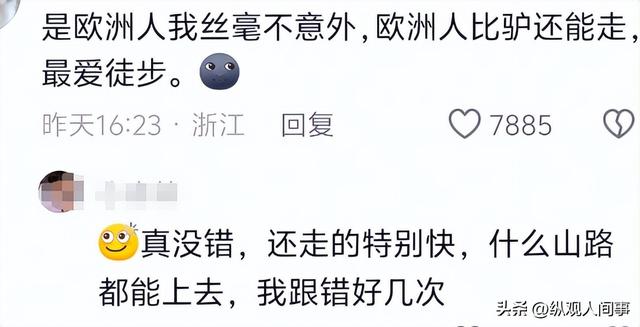 俩小伙从法国徒步一年走8000公里到新疆，目的地上海，网友震惊了