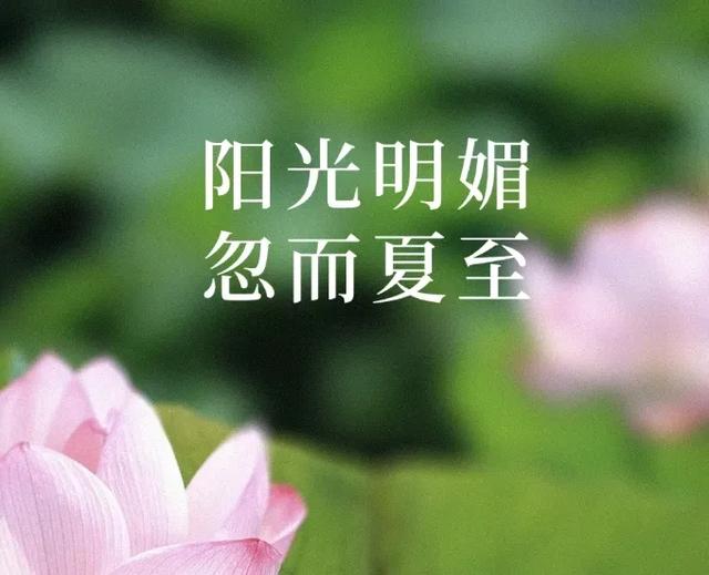 枣庄市文化馆2025年度精彩时刻（四）以文塑旅促融合 荣誉见证显担当