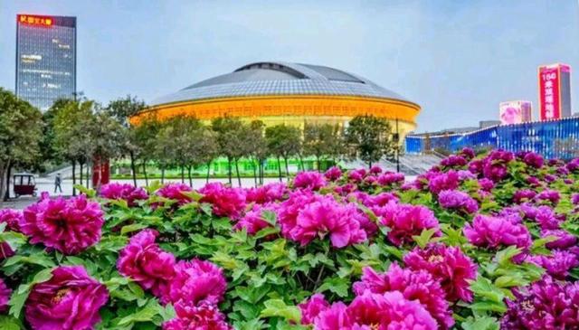 宜居10强出炉，三亚第3苏州第7，威海不敌大连天津洛阳落榜