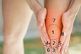 膝关节疼痛地图，读懂疼痛背后的真相图片