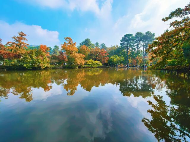 又见天平山：一叶知秋，一枫醉心