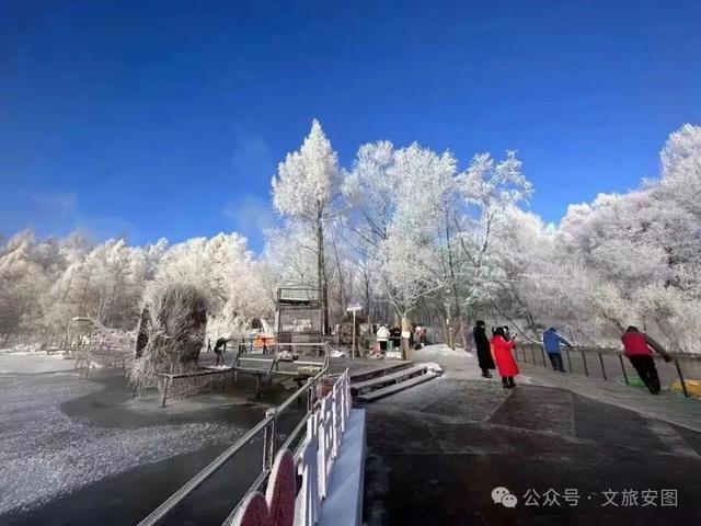 挖到宝了！这个叫安图的小城，装着整个冬天的快乐