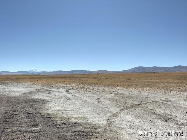 喀什经317到成都，改则-尼玛，途径大地之树、洞措湿地自然保护区