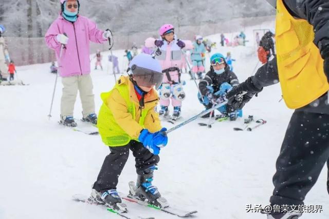 雪落神农架：解锁华中秘境的冬日仙境