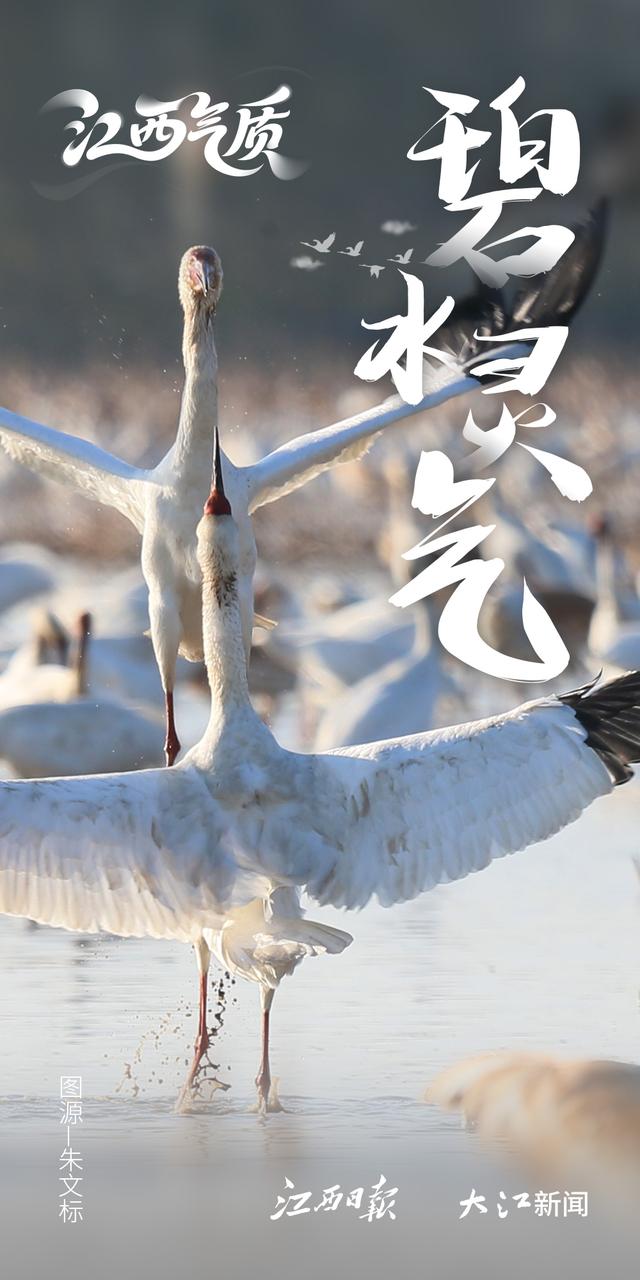 江西气质，藏不住了