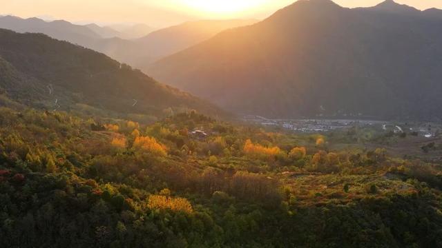 不到西坡，怎知秋色如许？