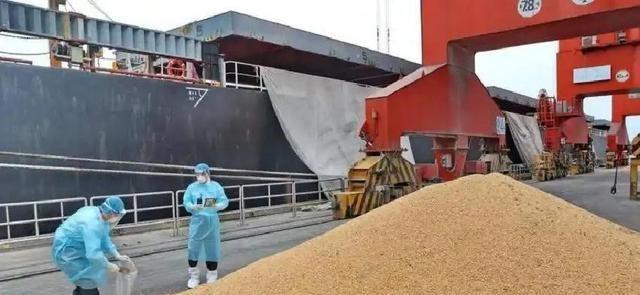 阿根廷“疯子”又赢了，130万吨大豆运往中国，没有一粒是美国的