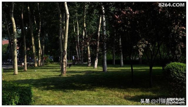 山东行游影记（15）—济南山东大学（二）