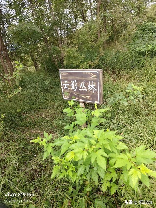 ​​​忍着胸上方肋骨的疼痛，爬了个齐长城，累计拔高900+，走了13公里