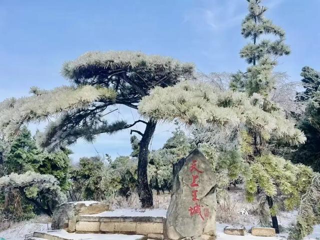 小雪至，来临沂 | 这个冬天不必远行，来临沂领略冬日景区独特魅力