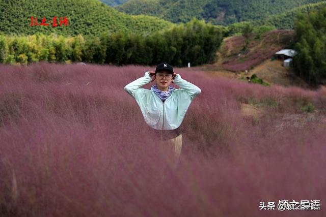 穿越大梅山，环游风景线，收获满满