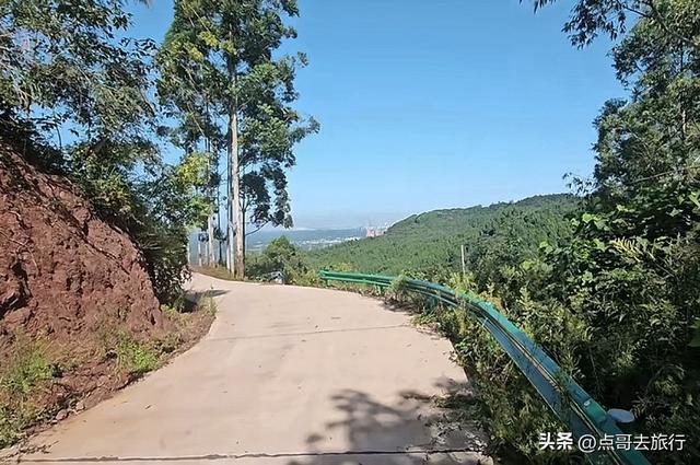 成都龙泉山冷门徒步路线，大片桉树林超美，不要门票，野趣十足！