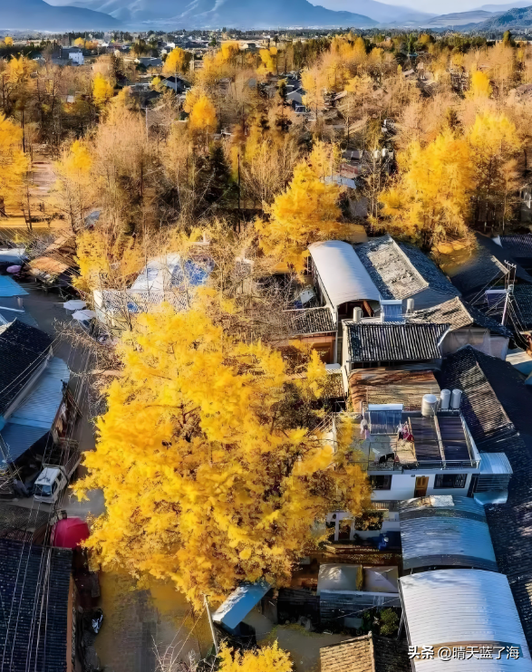 盘点——中国秋色最美风景所在地：总得去一个没去过的地方！