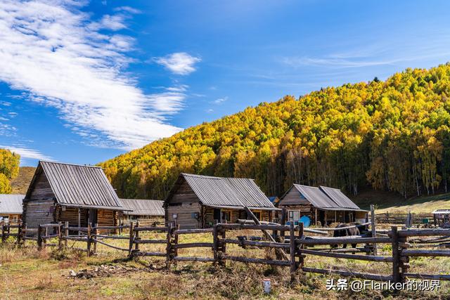 我的阿勒泰之旅（3）
