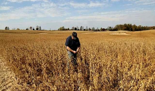 中方刚复购大豆。美国又变脸，美贸易代表通告全球，继续调查中国