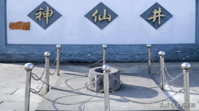 “乡”遇奉贤·四团镇篇丨“品酒+露营”快来解锁近郊旅游新玩法