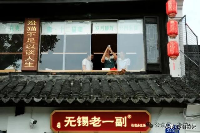 400年的名桥，千年的古河，承包了江南所有的诗意