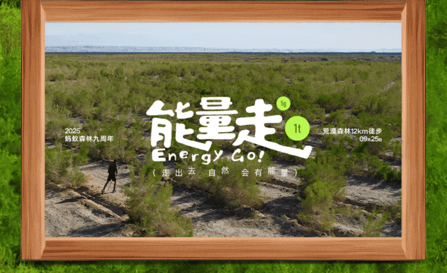 在？蚂蚁森林9周年，一起去敦煌走走