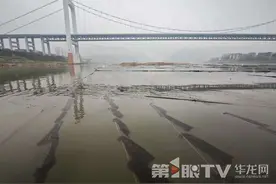 长江重庆段建起26000平方米人工鱼巢 为鱼儿搭“产房”图片