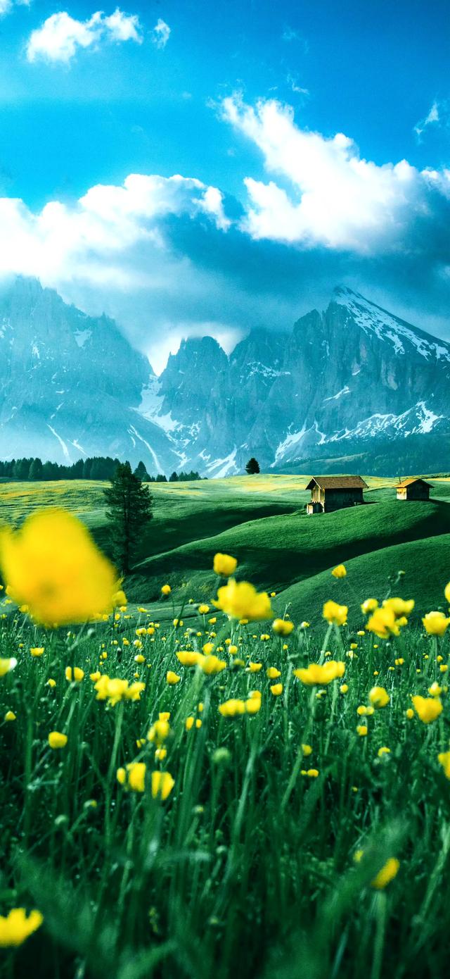 手机壁纸|风景