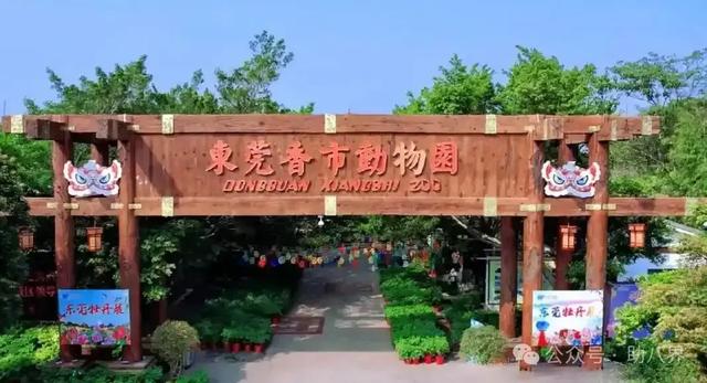 广东东莞十大打卡地（精简版）