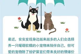 宠物总是生病怎么办？宠物"医保"了解一下图片