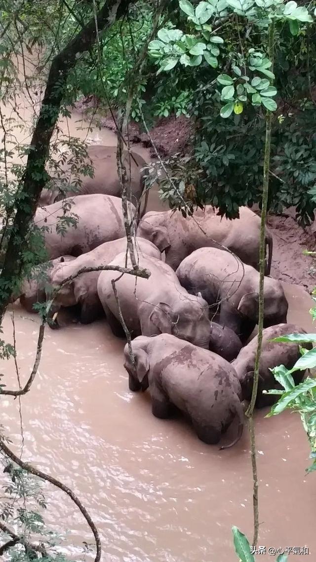 中国最像国外的地方，全球最佳旅行地之一，等于环游整个东南亚！